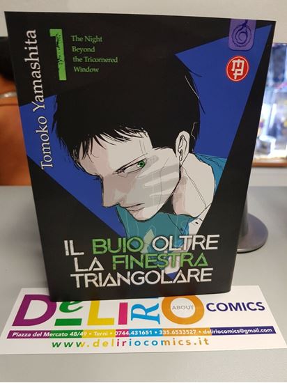 Immagine di IL BUIO OLTRE LA FINESTAR TRIANGOLARE 001