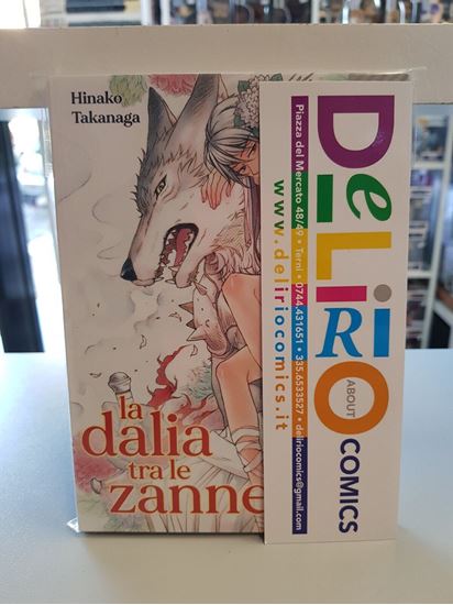 Immagine di LA DALIA TRA LE ZANNE 002