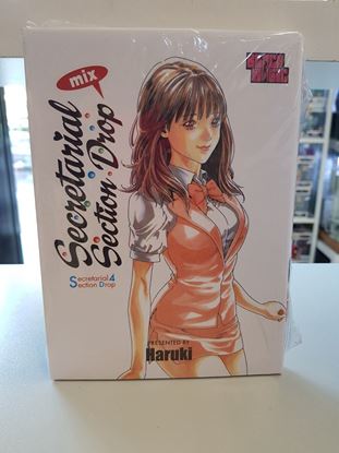 Immagine di SECRETARIAL SECTION DROP 004