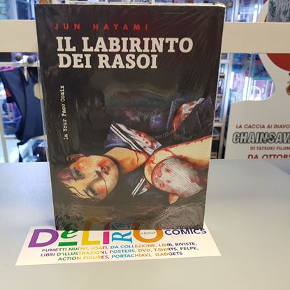 Immagine di IL LABIRINTO DEI RASOI