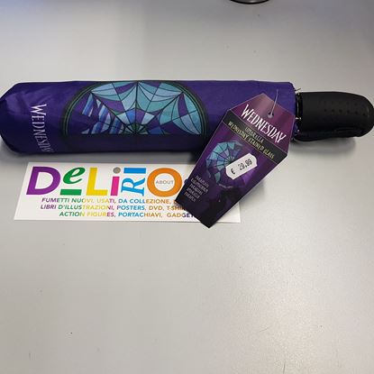 Immagine di OMBRELLO MERCOLEDI'