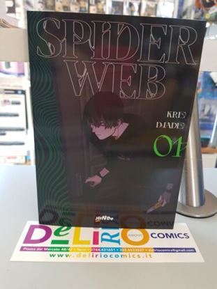 Immagine di SPIDER WEB 001