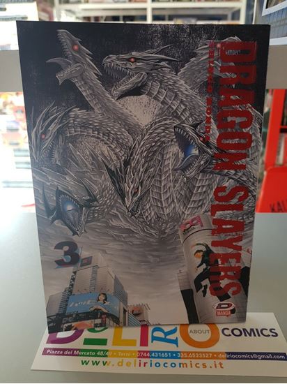 Immagine di DRAGON SLAYERS 003