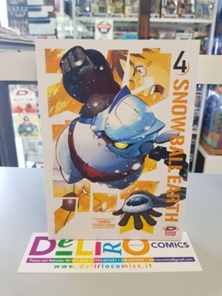 Immagine di SNOW BALL EARTH 004