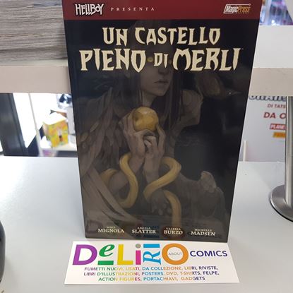 Immagine di UN CASTELLO PIENO DI MERLI