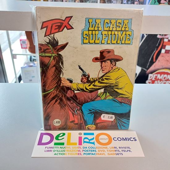 Immagine di TEX 209