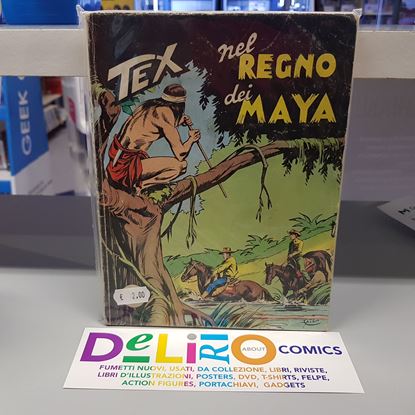 Immagine di TEX 163