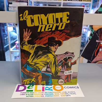 Immagine di TEX 029