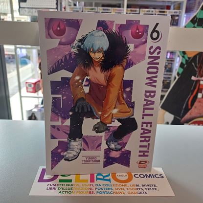 Immagine di SNOW BALL EARTH 006