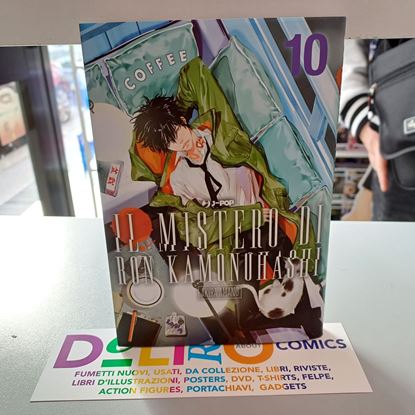Immagine di IL MISTERO DI RON KAMONOHASHI 010