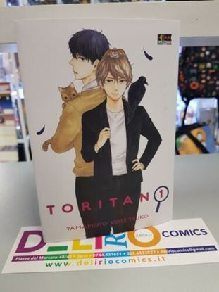 Immagine di TORITAN 001