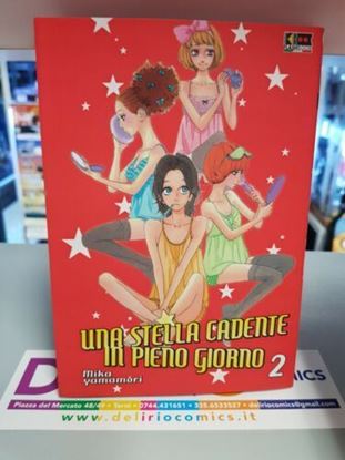 Immagine di UNA STELLA CADENTE IN PIENO GIORNO 002