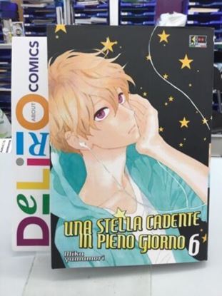 Immagine di UNA STELLA CADENTE IN PIENO GIORNO 006