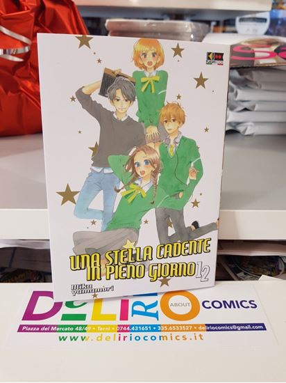 Immagine di UNA STELLA CADENTE IN PIENO GIORNO 012