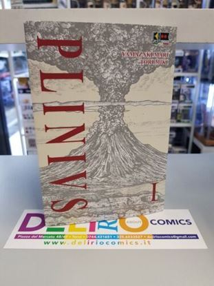 Immagine di PLINIUS 001