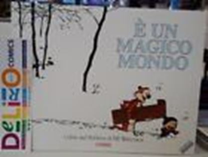 Immagine di CALVIN AND HOBBES - E' UN MAGICO MONDO