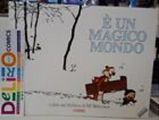 Immagine di CALVIN AND HOBBES - E' UN MAGICO MONDO