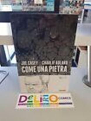 Immagine di COME UNA PIERTA