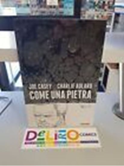Immagine di COME UNA PIERTA