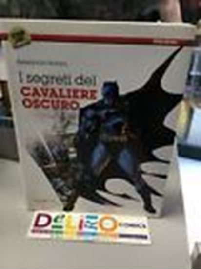 Immagine di I SEGRETI DEL CAVALIERE OSCURO