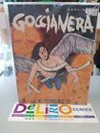 Immagine di GOCCIANERA DI NUOVO IN VOLO 004