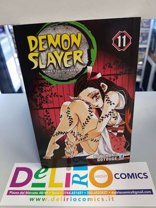 Immagine di DEMON SLAYER 011