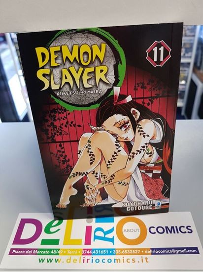 Immagine di DEMON SLAYER 011