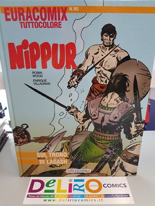 Immagine di NIPPUR 029
