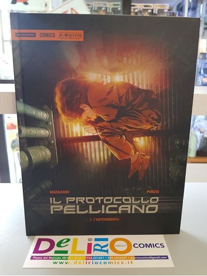 Immagine di IL PROTOCOLLO PELLICANO - L'ESPERIMENTO 001