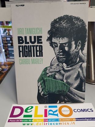 Immagine di BLUE FIGHTER