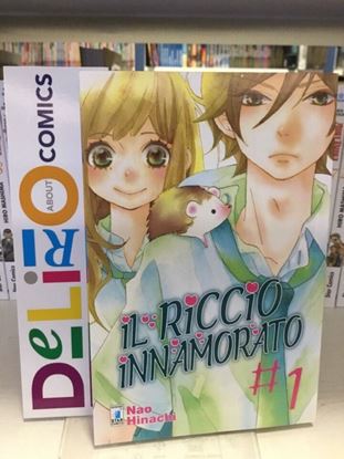 Immagine di IL RICCIO INNAMORATO 001