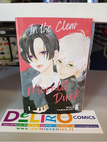 Immagine di IN THE CLEAR MOONLIT DUSK 001