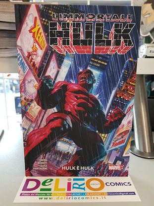 Immagine di L'IMMORTALE HULK - HULK E' HULK 007