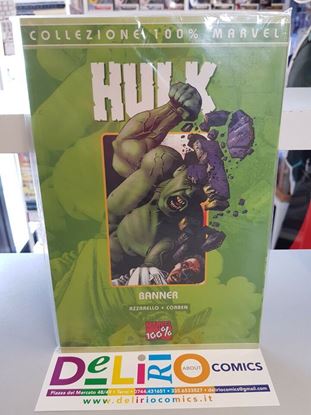 Immagine di HULK BANNER
