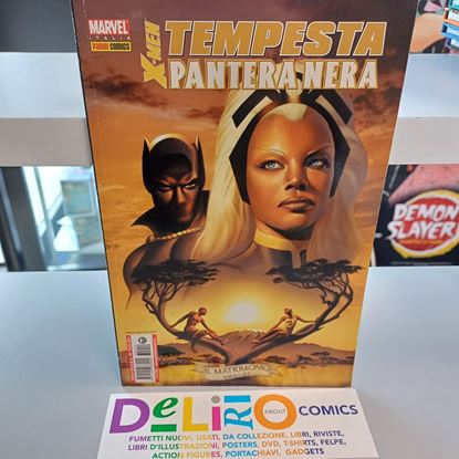 Immagine di X-MEN TEMPESTA PANTERA NERA 001