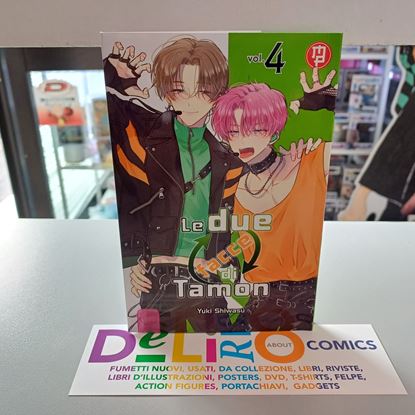 Immagine di LE DUE FACCE DI TAMON 004