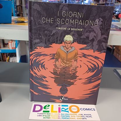 Immagine di I GIORNI CHE SCOMPAIONO