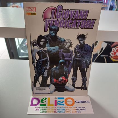 Immagine di I GIOVANI VENDICATORI 002