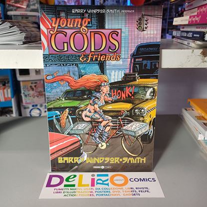 Immagine di BARRY WINDSOR SMITH PRESENTA YOUNG GODS & FRIENDS