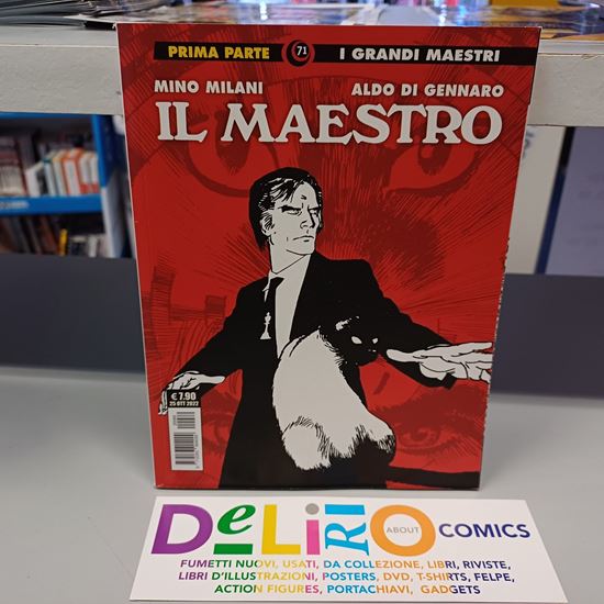 Immagine di IL MAESTRO