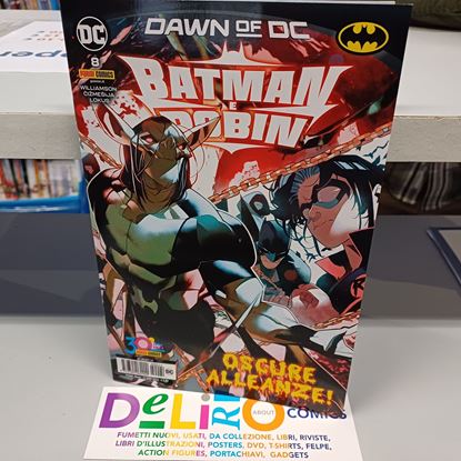 Immagine di BATMAN E ROBIN 008