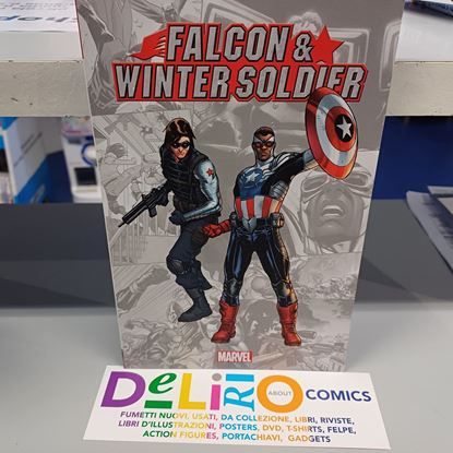 Immagine di FALCON & WINTER SOLDIER