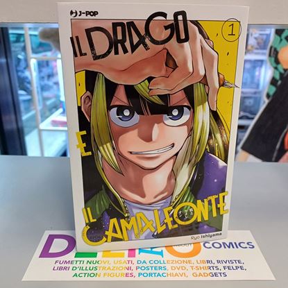 Immagine di IL DRAGO E IL CAMALEONTE 001