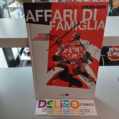 Immagine di AMAZING SPIDER-MAN - AFFARI DI FAMIGLIA