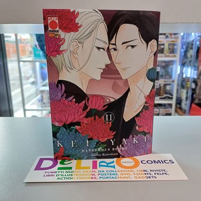 Immagine di KEI X YAKU 011