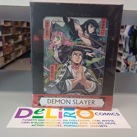 Immagine di DVD DEMON SLAYER L'ALLENAMENTO DEI PILASTRI EDIZIONE LIMITATA E NUMERATA