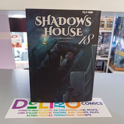 Immagine di SHADOWS HOUSE 018