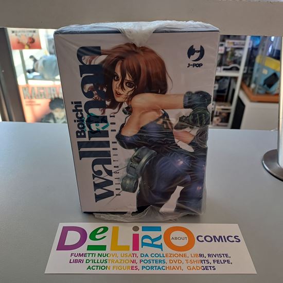 Immagine di WALLMAN BOX 001/003