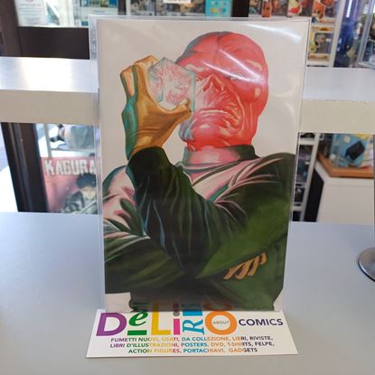 Immagine di CAPITAN AMERICA COVER VIALLAIN VARIANT DI ALEX ROSS 012