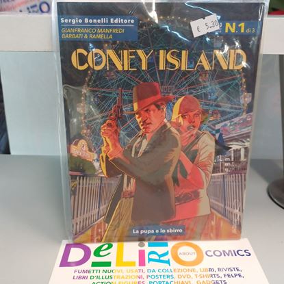 Immagine di CONEY ISLAND 001